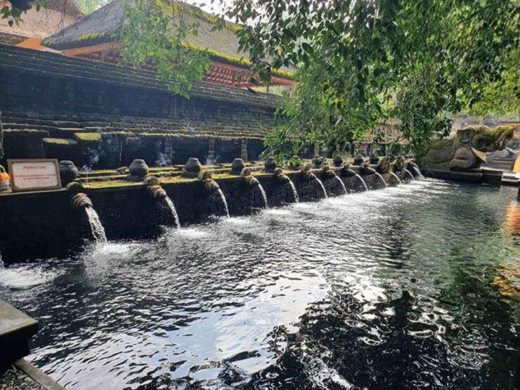 Ubud: Waterfalls,Water Temple,& Rice Terrace Private Tour - Tour Highlights