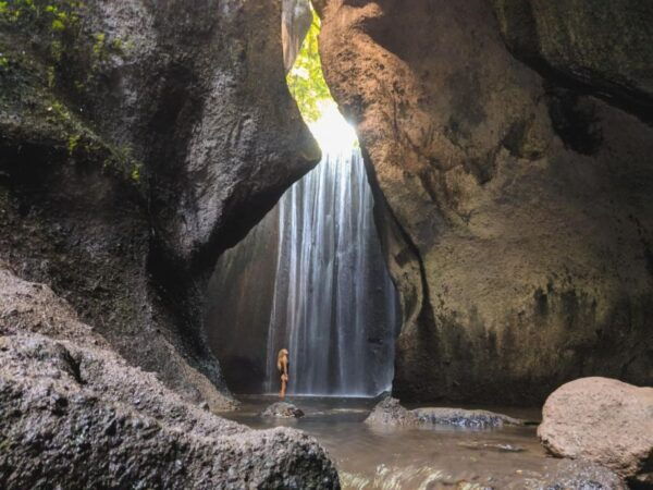 Ubud: Waterfalls,Water Temple,& Rice Terrace Private Tour - Tegalalang Rice Terrace