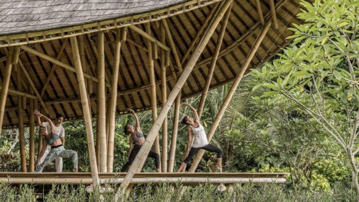 Ubud: Wellness Retreat With Massage, Yoga Class, and Lunch - Overview of the Wellness Retreat