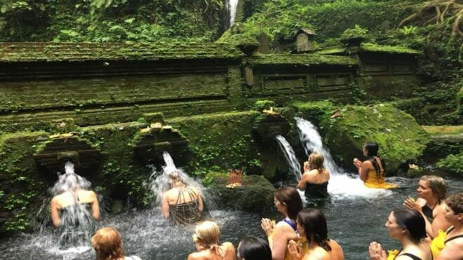 Ubud: Wellness Retreat With Massage, Yoga Class, and Lunch - Review of Transportation and Value for Money