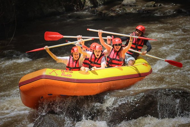 Ubud White Water Rafting Adventure - Location and Activity Overview