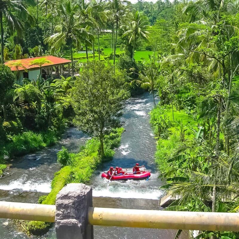 Ubud: White Water Rafting Adventure Tour - Authentic Experiences and Reviewer Insights