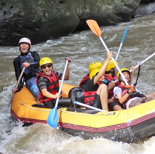 Ubud White Water Rafting, Coffe Testing & Ubud Swing - Activity Overview