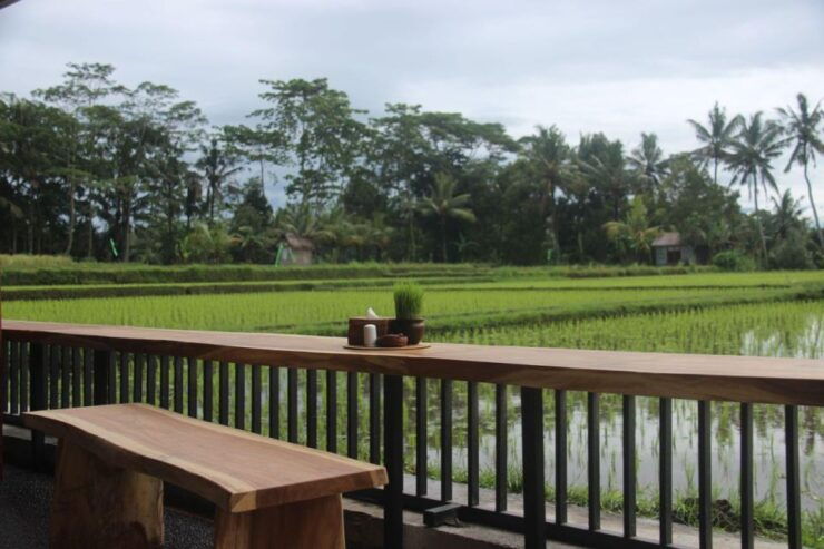 Ubud White Water Rafting With Lunch - Booking Details