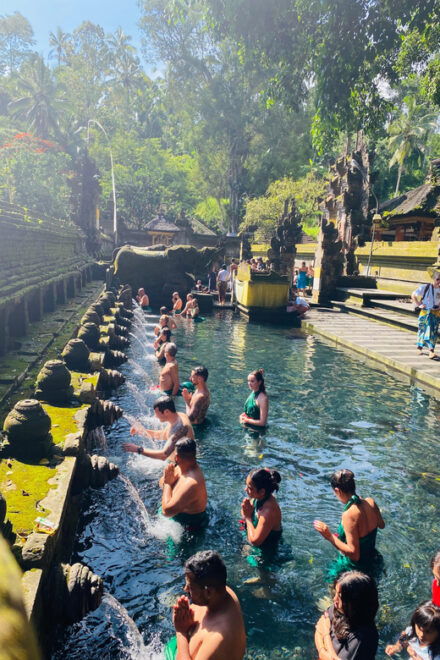 Ubud Wonders:Experience Temple,Rice Terraces and Waterfalls - Detailed Itinerary