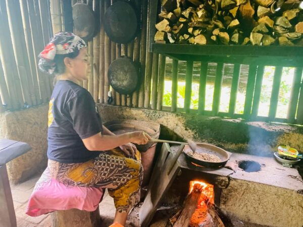 Ubud Wonders:Experience Temple,Rice Terraces and Waterfalls - Tips for Travelers