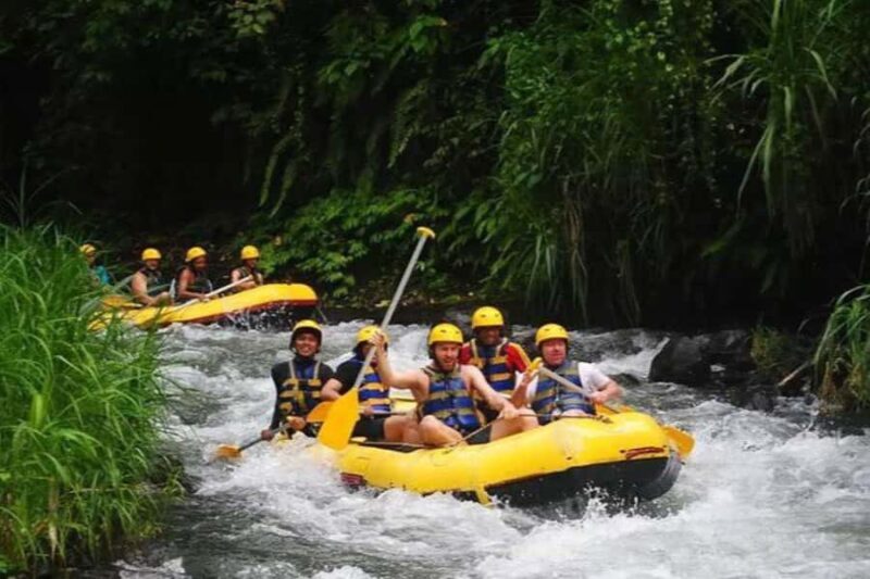 Ubud: Zip-line Adventure, River Rafting & Rice Terraces Tour - Who Will Love This Tour?