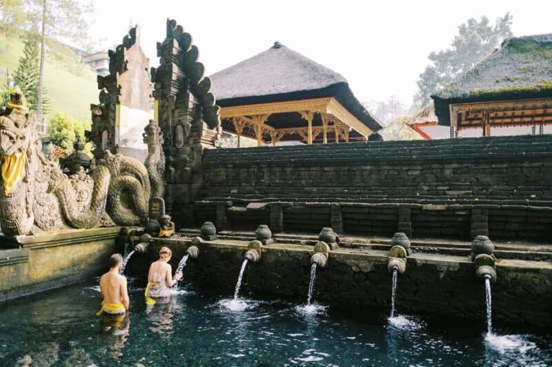 Ubud: Zip-Line, Sacred Temple, and Monkey Forest Tour - What We Loved & What to Consider