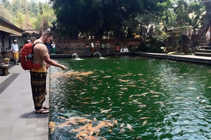 Ubud: Zipline, Waterfall & Tirta Empul Holy Temple Day Tour - FAQ