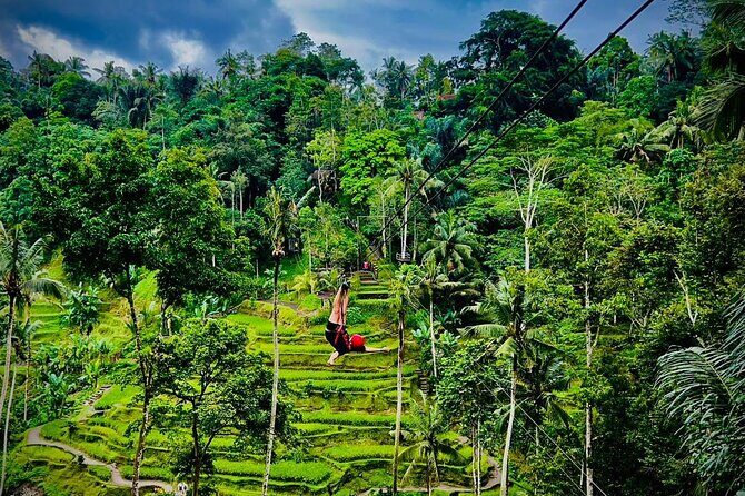 Ubud Zipline,Alas Harum combo experience with Private Car, Bali - Transportation and Practical Details