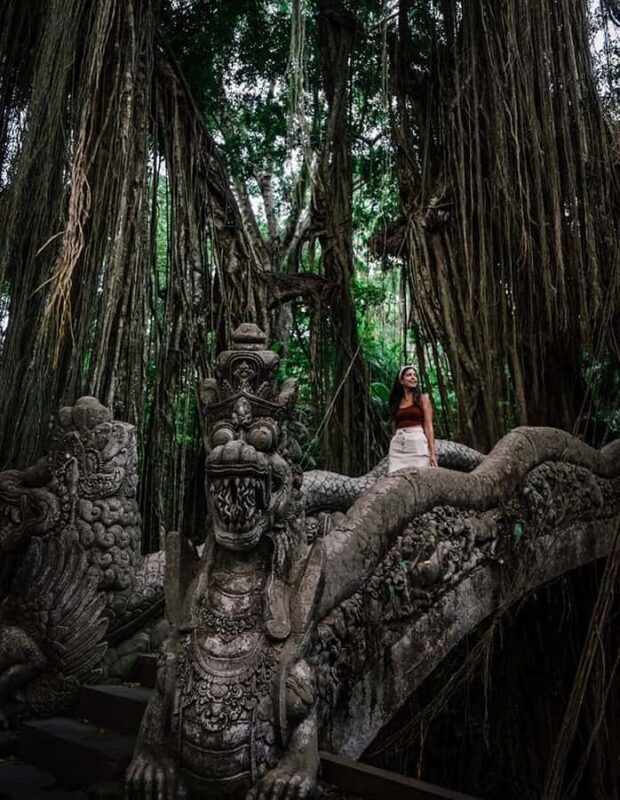 Ubud:Art Village, MonkeyForest, RiceField, & Bali Swing Tour - Spiritual Temples and Cultural Reflection