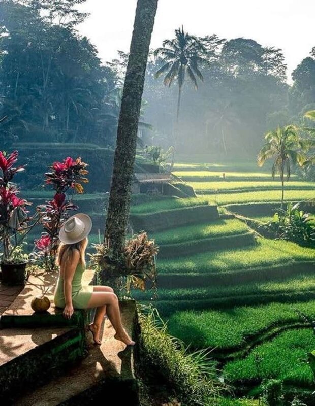 Ubud:Art Village, MonkeyForest, RiceField, & Bali Swing Tour - Practical Details and Value