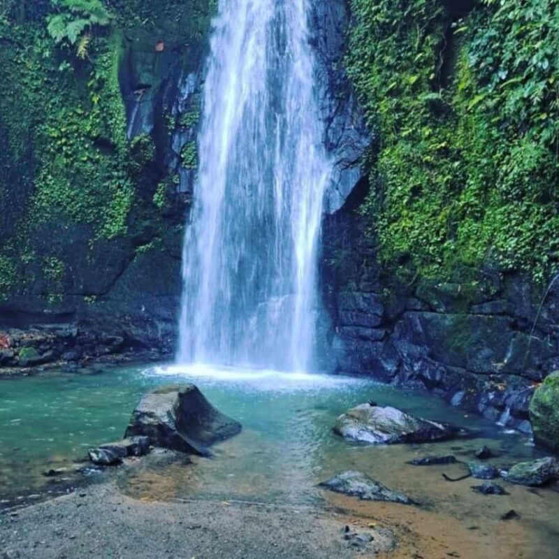 Ubud:Cultural day tour with traditional Balinese house visit - A Deep Dive into the Itinerary and Experience