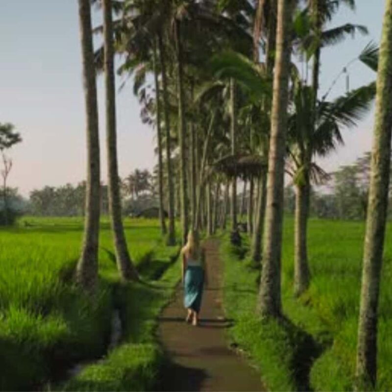 Ubud:Cultural day tour with traditional Balinese house visit - Discovering the Heart of Bali: An In-Depth Look at the Cultural Tour