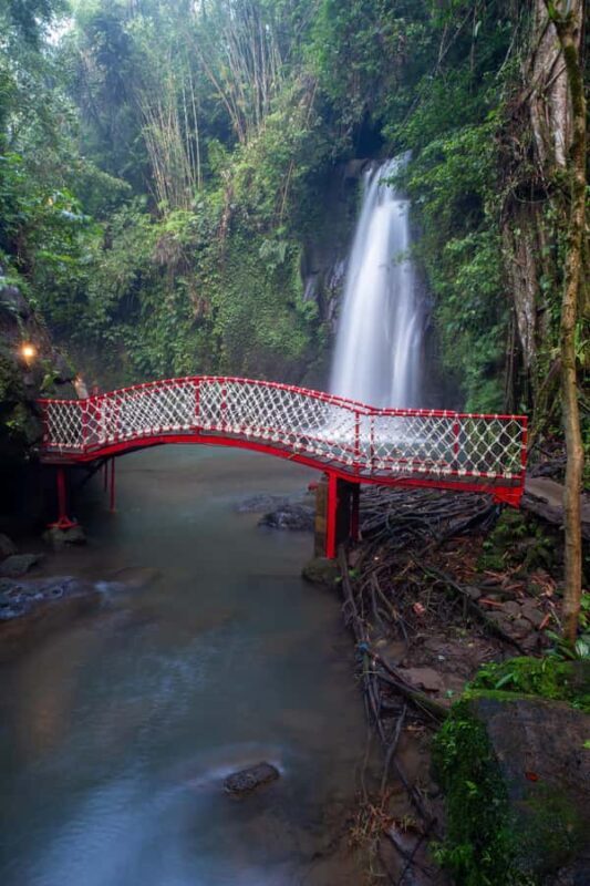 Ubud:Monkey Forest, Rice Terraces, Water Temples, Waterfalls - An In-Depth Look at the Experience