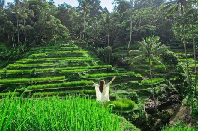 Ubud:Monkey Forest,Rice Terraces,Temple & Waterfalls Tours - Rice Terraces Exploration
