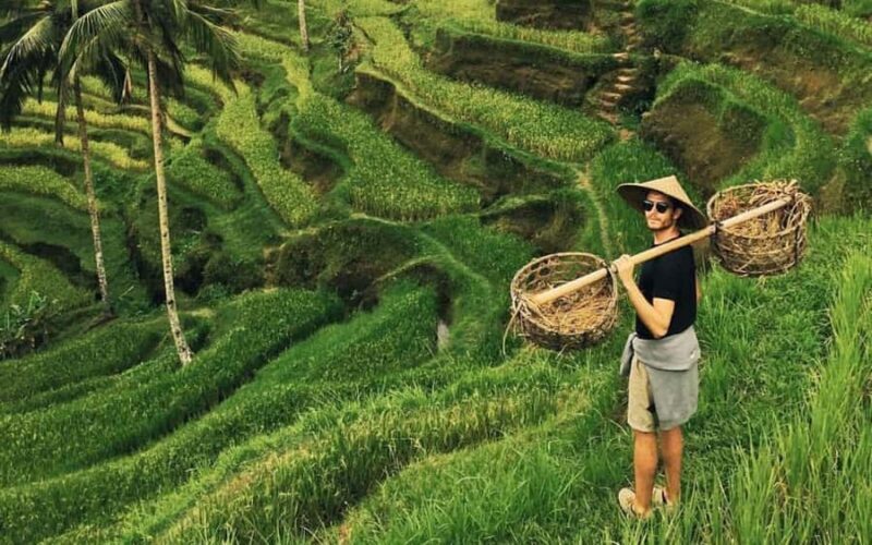 Ubud:private tour riceterace&swing waterfall& tirta empul - Good To Know