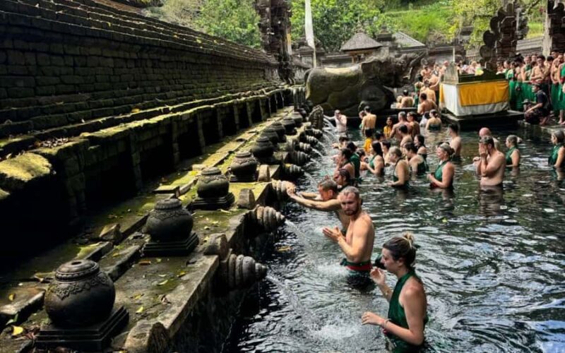 Ubud:private tour riceterace&swing waterfall& tirta empul - Discover Bali’s Iconic Landscapes and Sacred Sites