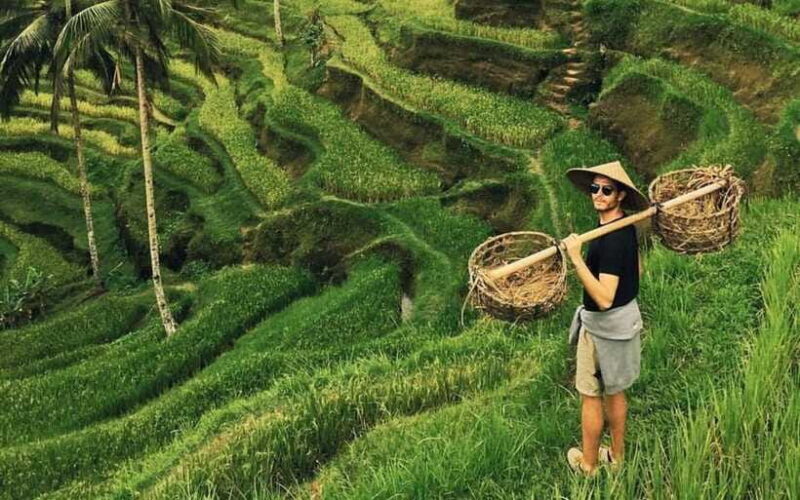 Ubud:private tour riceterace&swing waterfall& tirta empul - From the Guides to the Experience