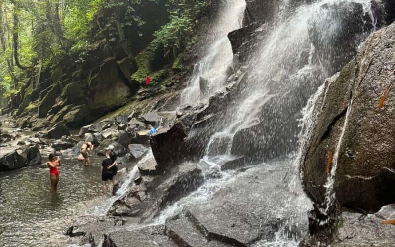 Ubud:private tour riceterace&swing waterfall& tirta empul - Who Should Consider This Tour?