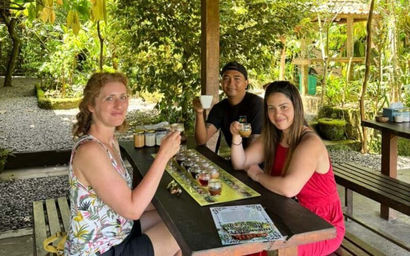 Ubud:private tour riceterace&swing waterfall& tirta empul - Final Thoughts