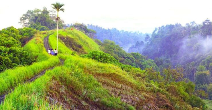Ubud's Campuhan Ridge Walk: A Self-Guided Audio Tour - Experience Highlights