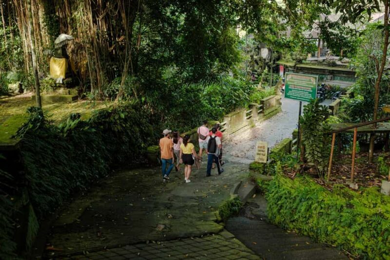 Ubud's Journey from Past to Present - What to Expect from the Experience