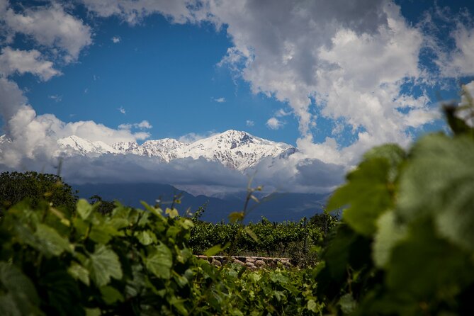 Uco Deluxe: Best Wineries and Real “Asado Argentino” - Vineyard Tours