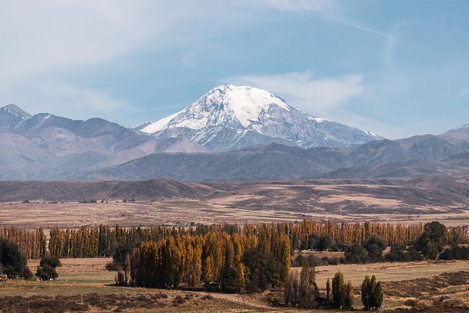 Uco Valley Hidden Wineries Tour With 5-Star Resort Lunch  - Mendoza - Exquisite Winery Selection