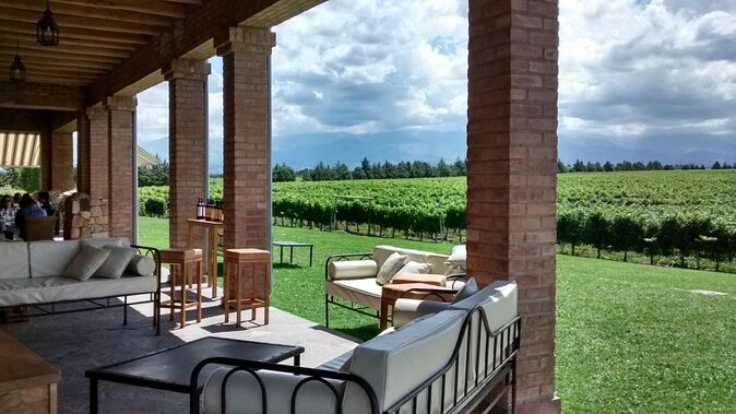 Uco Valley Wine Experience - The Best Private Wine Tour and Lunch - Customer Feedback Overview