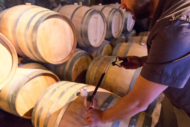 Uco Valley Wine Experience - The Best Private Wine Tour and Lunch - Star Ratings Distribution