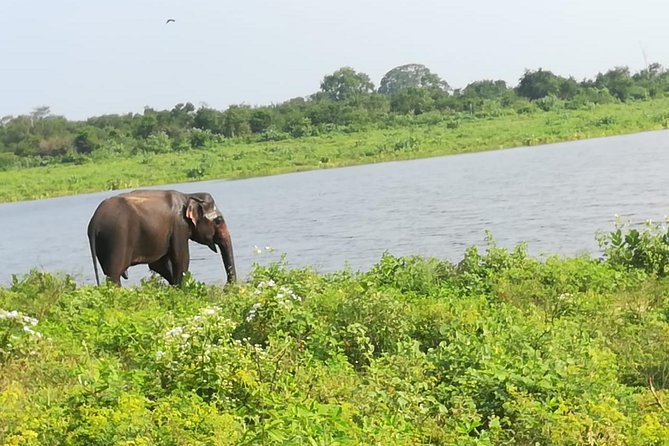 Uda Walawe Safari 1-Day-Tour From Mirissa, Weligama, Ahangama - Itinerary Details
