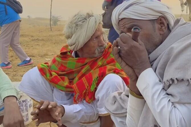 Udaipur City tour with a French speaking guide - The Sum Up