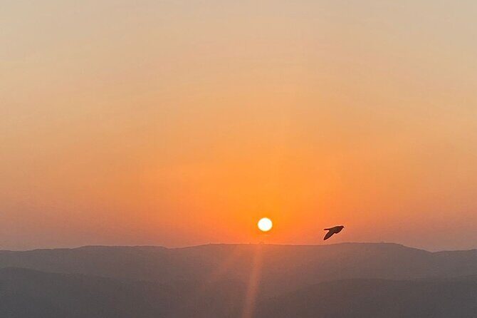 Udaipur Countryside Electric Cycle Tour - Why This Tour Offers Great Value