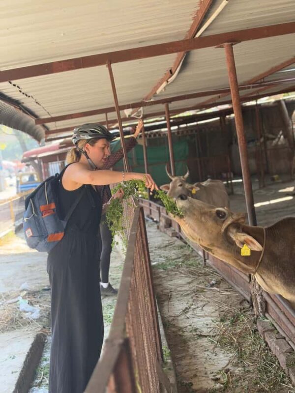 Udaipur: E-Cycling through lakes and villages - Who Will Enjoy This Tour?