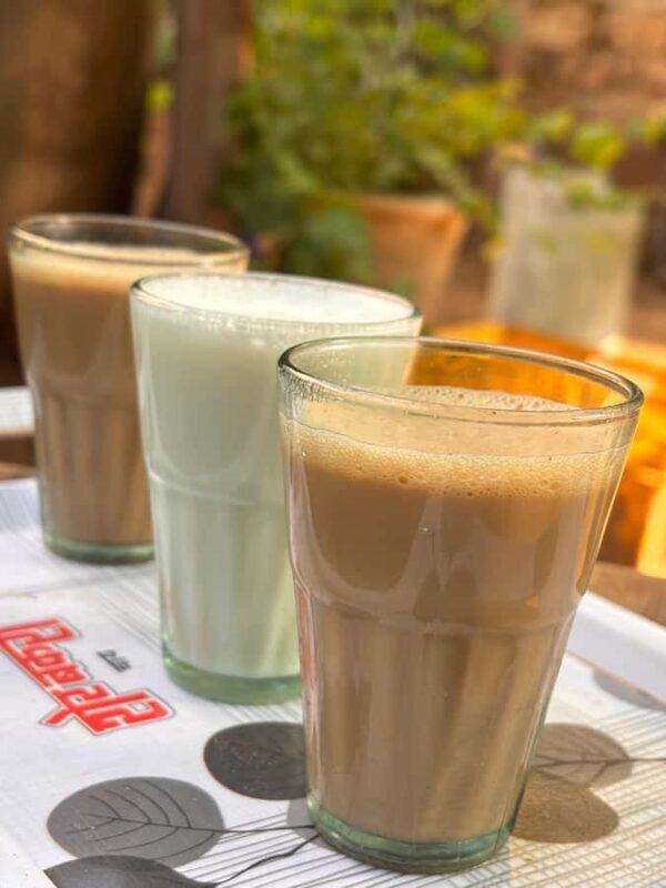 Udaipur: E-Cycling through lakes and villages - The Sum Up