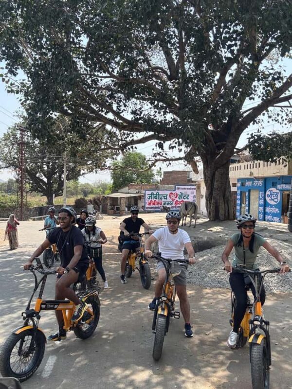 Udaipur: E-Cycling through lakes and villages - The Itinerary Breakdown