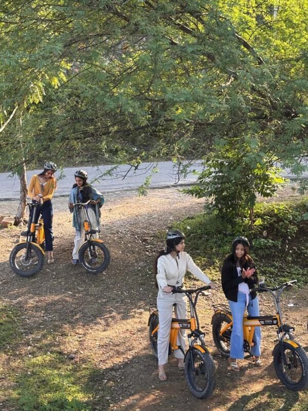 Udaipur: E-Cycling through lakes and villages - In-Depth Experience Review