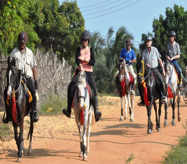 Udaipur: Evening Horse Riding Experience in the Countryside - Activity Details