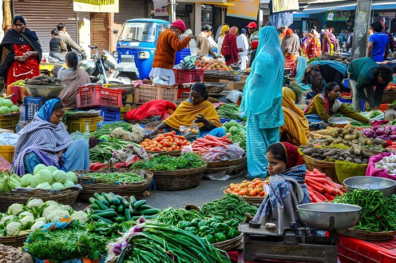 Udaipur Hidden Shopping Tour with Local Artisans - Who Will Love This Tour?