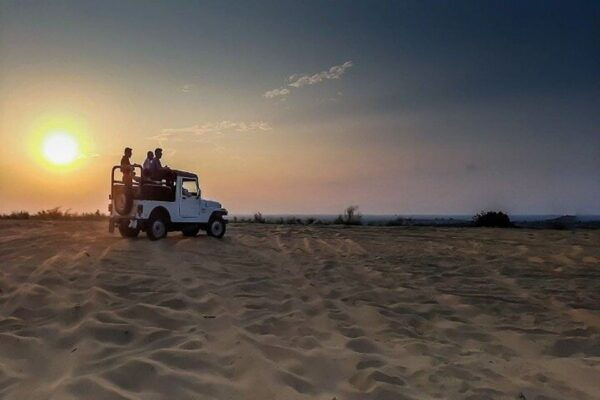 Udaipur & Jodhpur Tour For 6 Night 7 Days With Car & Driver - Inclusions and Services