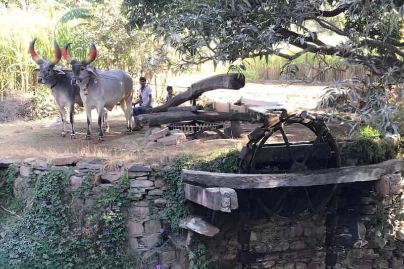 Udaipur: Private Village Tour by Tuk-Tuk or Car - The Sum Up