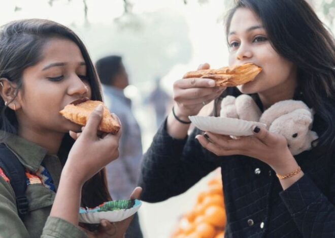 Udaipur Street Food Crawl Tour -Guided Local Food Tasting - Description
