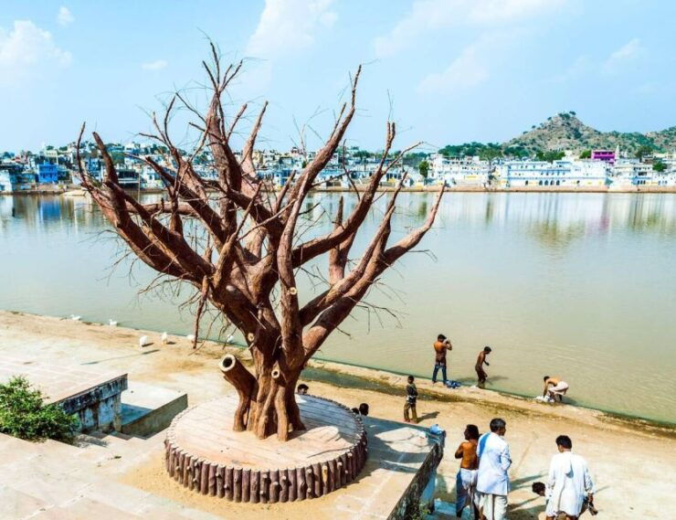 Udaipur to Jaipur via Pushkar Private Tour by Cab - Booking Information