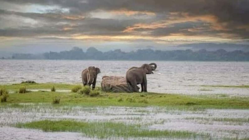 udawalawa/Ella tour (ahangama/waligama/mirissa/hiriketiya) - Overview and Practical Details