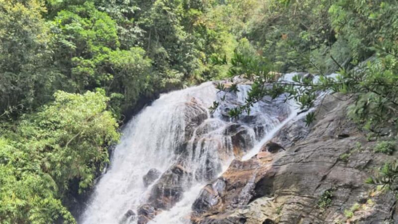 udawalawa/Ella tour (ahangama/waligama/mirissa/hiriketiya) - What to Expect on the Day