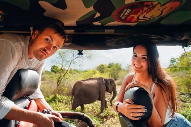 Udawalawa National Park: All-Inclusive Private Day Tour - Transportation Details