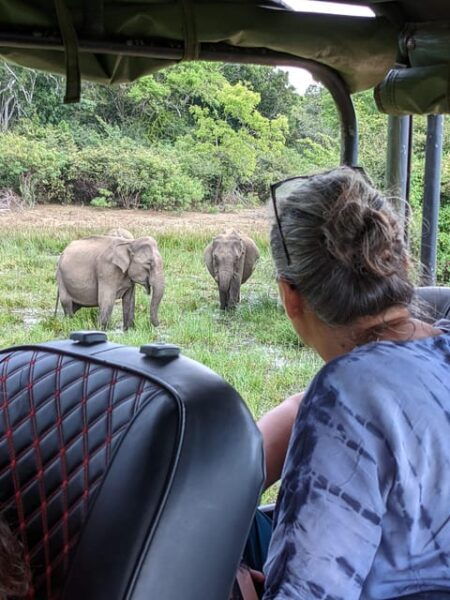 Udawalawa National Park - All-Inclusive Private Safari Tour - Important Guidelines to Follow