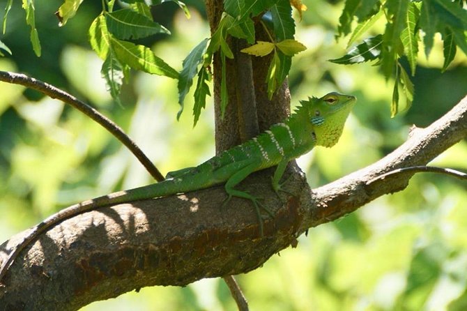 Udawalawa National Park Half Day Safari - Reviews From Previous Visitors on the Half Day Safari