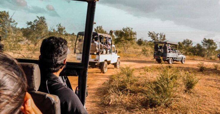 Udawalawa National Park: Private Safari - Safari Experience